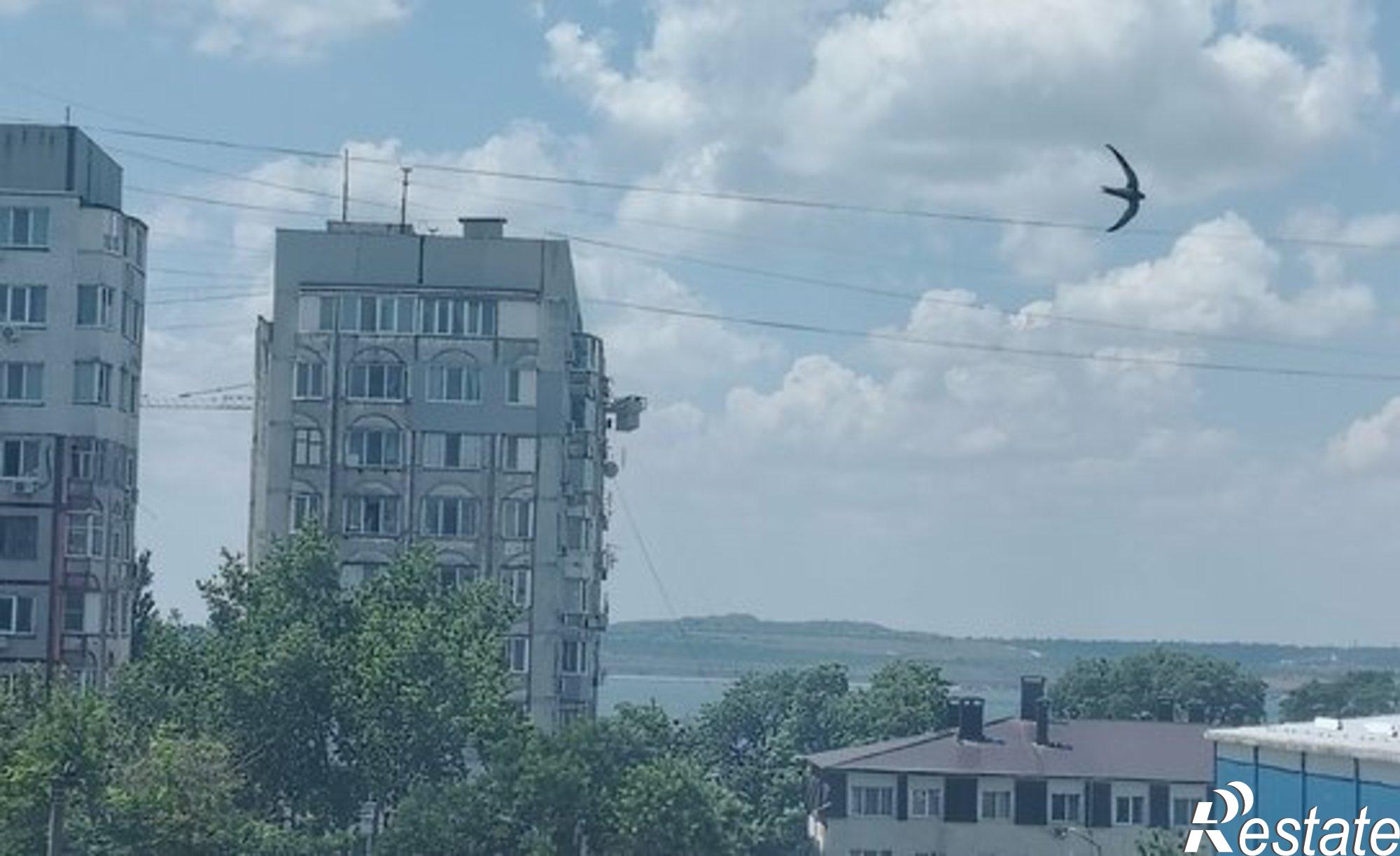 Купить квартиру за 8 200 000 рублей на ул Генерала Петрова, 4